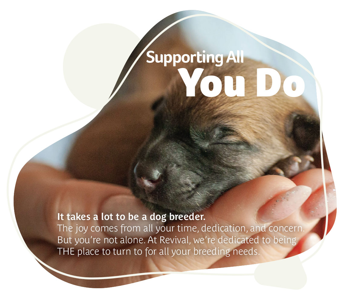 Revival Animal Health — Supporting All You Do