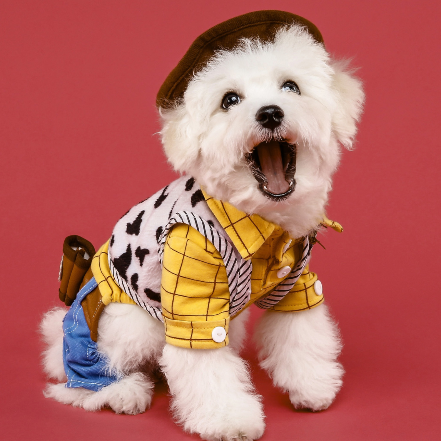 Found a Bump on Your Dog? Vet Guide to Canine Lumps